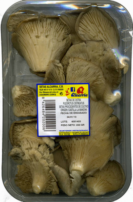 Setas de ostra "Alcarria" (200 g)