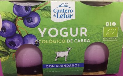 Yogur ecologico de cabra con arandanos